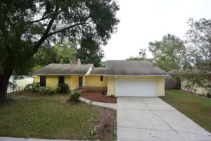 2316 WINDSOR OAKS AVENUE, LUTZ, FL 33549 Sold 03/10/25