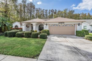 4747 CRESTKNOLL LANE, NEW PORT RICHEY, FL 34653 Sold 12/20/24
