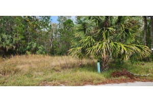 LOT 285 CUTLASS DRIVE, HUDSON, FL 34667 - MLS#MFRW7869823