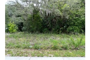 12120 HICKS ROAD, HUDSON, FL 34669 - MLS#MFRW7869829
