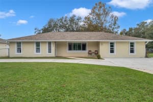 10615 OSCEOLA DRIVE, NEW PORT RICHEY, FL 34654 Sold 02/03/25
