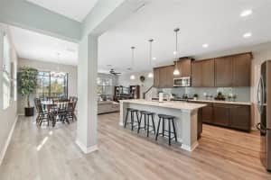 30141 SOUTHWELL LANE, WESLEY CHAPEL, FL 33543 Sold 01/30/25