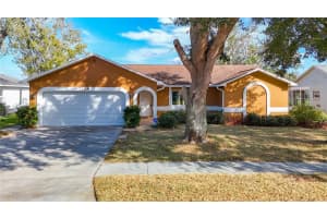 7328 SKYVIEW AVENUE, NEW PORT RICHEY, FL 34653 Sold 03/14/25