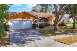 7328 SKYVIEW AVENUE, NEW PORT RICHEY, FL 34653 Sold 03/14/25