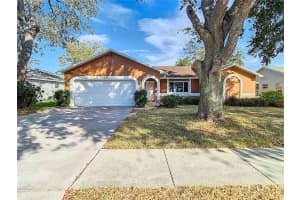 7328 SKYVIEW AVENUE, NEW PORT RICHEY, FL 34653 Sold 03/14/25