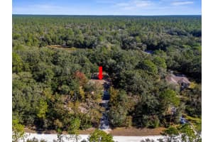 10503 YELLOWLEGS AVENUE, WEEKI WACHEE, FL 34614 Sold 02/27/25