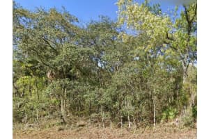 6800 SONATA AVENUE, HOMOSASSA, FL 34446 Sold 12/30/24