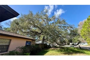 4940 CHERRY COURT, NEW PORT RICHEY, FL 34652 Sold 12/30/24