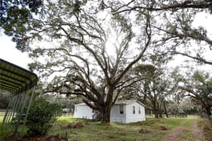 21284 AYERS ROAD, BROOKSVILLE, FL 34604 Sold 08/16/25