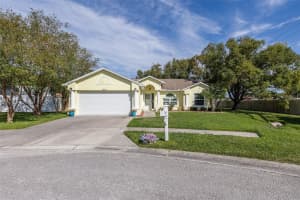 8529 ROYAL HART DRIVE, NEW PORT RICHEY, FL 34653 Sold 02/07/25