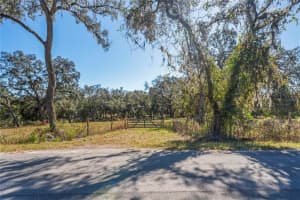 16900 AKINS DRIVE, SPRING HILL, FL 34610 Sold 05/19/25