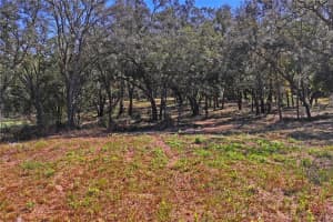16900 AKINS DRIVE, SPRING HILL, FL 34610 Sold 05/19/25
