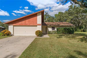 9217 SACRAMENTO DRIVE, NEW PORT RICHEY, FL 34655 Sold 02/14/25