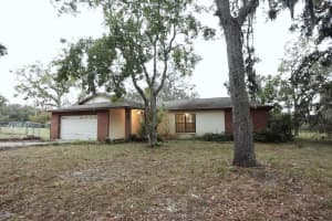 11341 PINE FOREST DRIVE, NEW PORT RICHEY, FL 34654 Sold 12/12/24