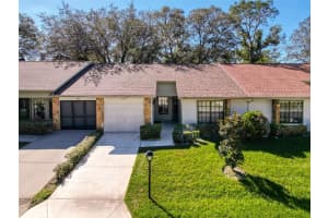6594 BRAMBLELEAF DRIVE, SPRING HILL, FL 34606 Sold 04/08/25