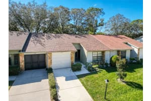 6594 BRAMBLELEAF DRIVE, SPRING HILL, FL 34606 Sold 04/08/25