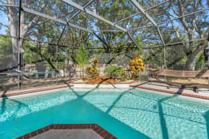 3740 CYPRESS MEADOWS ROAD, TAMPA, FL 33624 Sold 03/27/25