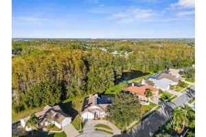 1249 MAZARION PLACE, TRINITY, FL 34655 - MLS#MFRW7870243