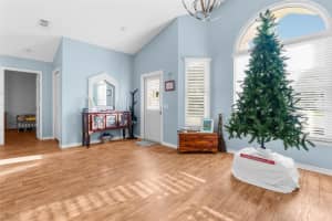 1249 MAZARION PLACE, TRINITY, FL 34655 - MLS#MFRW7870243