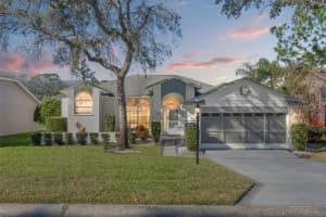 6527 MULLIGAN COURT, SPRING HILL, FL 34606 Sold 04/22/25