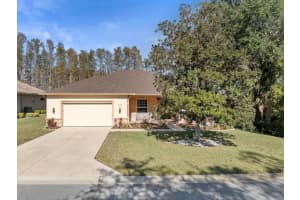 8689 MISSISSIPPI RUN, WEEKI WACHEE, FL 34613 Sold 03/14/25