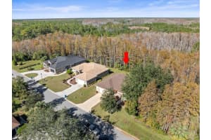 8689 MISSISSIPPI RUN, WEEKI WACHEE, FL 34613 Sold 03/14/25