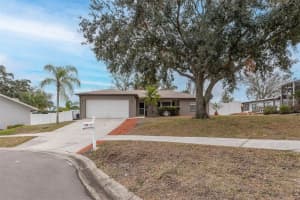 8708 WOODLAWN COURT, PORT RICHEY, FL 34668 Sold 02/28/25