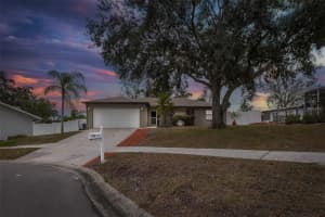8708 WOODLAWN COURT, PORT RICHEY, FL 34668 Sold 02/28/25