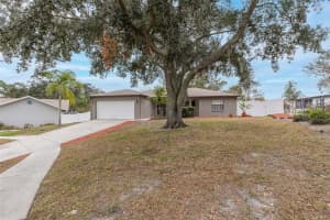 8708 WOODLAWN COURT, PORT RICHEY, FL 34668 Sold 02/28/25