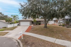 8708 WOODLAWN COURT, PORT RICHEY, FL 34668 Sold 02/28/25
