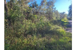 MORENA ST #5, NEW PORT RICHEY, FL 34654 - MLS#MFRW7870547