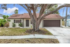 1310 MANDARIN DRIVE, HOLIDAY, FL 34691 Sold 01/30/25