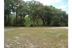 12303 PASCO TRAILS BOULEVARD, SPRING HILL, FL 34610 - MLS#MFRW7870698