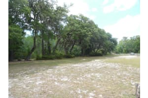 12303 PASCO TRAILS BOULEVARD, SPRING HILL, FL 34610 - MLS#MFRW7870698