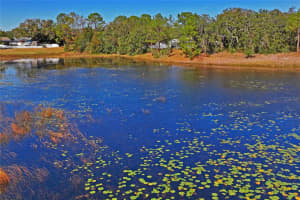 8361 DORA STREET, SPRING HILL, FL 34608 Sold 02/10/25