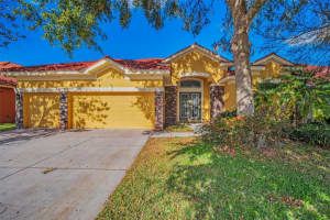11645 Belle Haven Dr, NEW PORT RICHEY
