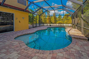 11645 BELLE HAVEN DRIVE, NEW PORT RICHEY, FL 34654 - MLS#MFRW7870803