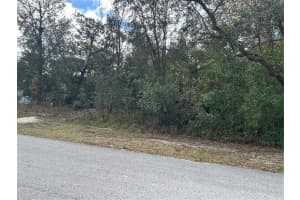 8346 ERIC STREET, SPRING HILL, FL 34608 - MLS#MFRW7870857