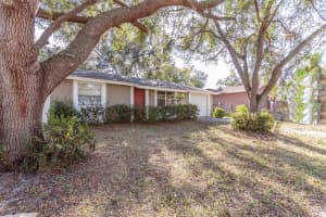 1311 CROSSBOW LANE, TARPON SPRINGS, FL 34689 Sold 03/17/25