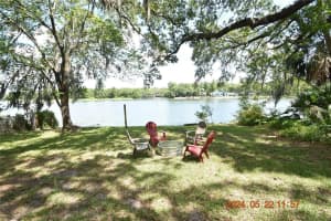 3606 River Grove Dr, TAMPA