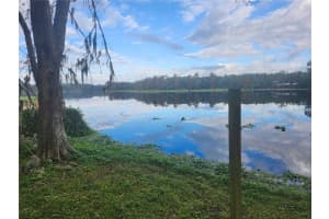 3606 RIVER GROVE DRIVE, TAMPA, FL 33610 - MLS#MFRW7870882
