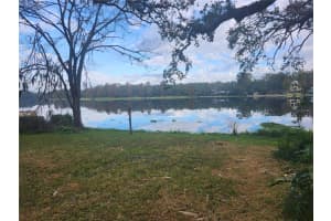 3606 RIVER GROVE DRIVE, TAMPA, FL 33610 - MLS#MFRW7870882