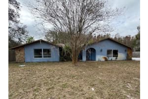 10312 BEECHCRAFT STREET, NEW PORT RICHEY, FL 34654 Sold 05/01/25