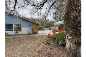 10312 BEECHCRAFT STREET, NEW PORT RICHEY, FL 34654 Sold 05/01/25