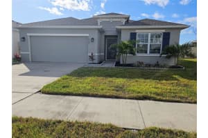 10147 CROSS TIMBER TERRACE, LAND O LAKES, FL 34638 Sold 04/25/25
