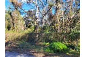 10934 LEON STREET, NEW PORT RICHEY, FL 34654 - MLS#MFRW7870901