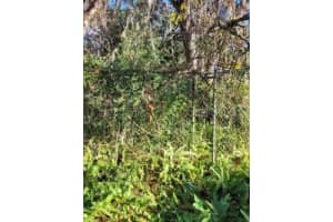 10934 LEON STREET, NEW PORT RICHEY, FL 34654 - MLS#MFRW7870901