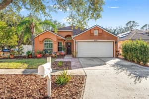 9202 FAWN CROSSINGS COURT, TAMPA, FL 33626 Sold 03/20/25