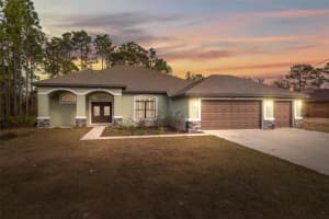10451 GYPSY AVENUE, WEEKI WACHEE, FL 34613 Sold 02/14/25