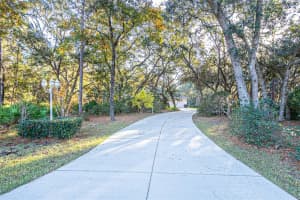 2495 COLEMAN AVENUE, HOMOSASSA, FL 34448 Sold 01/17/25